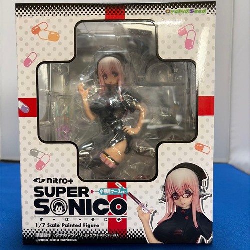 Orchid seed super sonico - orchid,